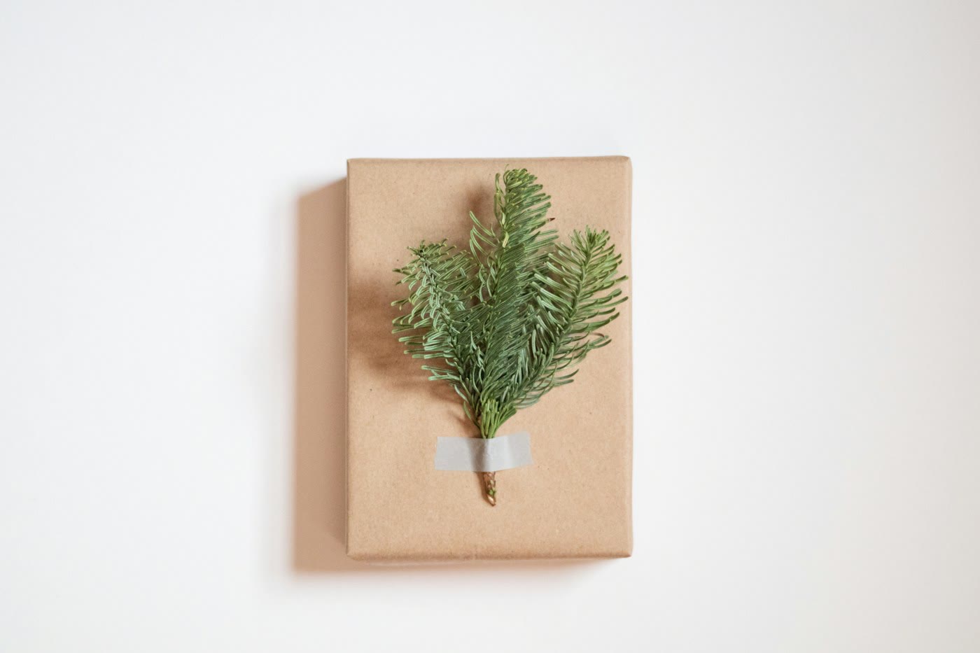 Cadeau ingepakt in kraftpapier met een takje groen